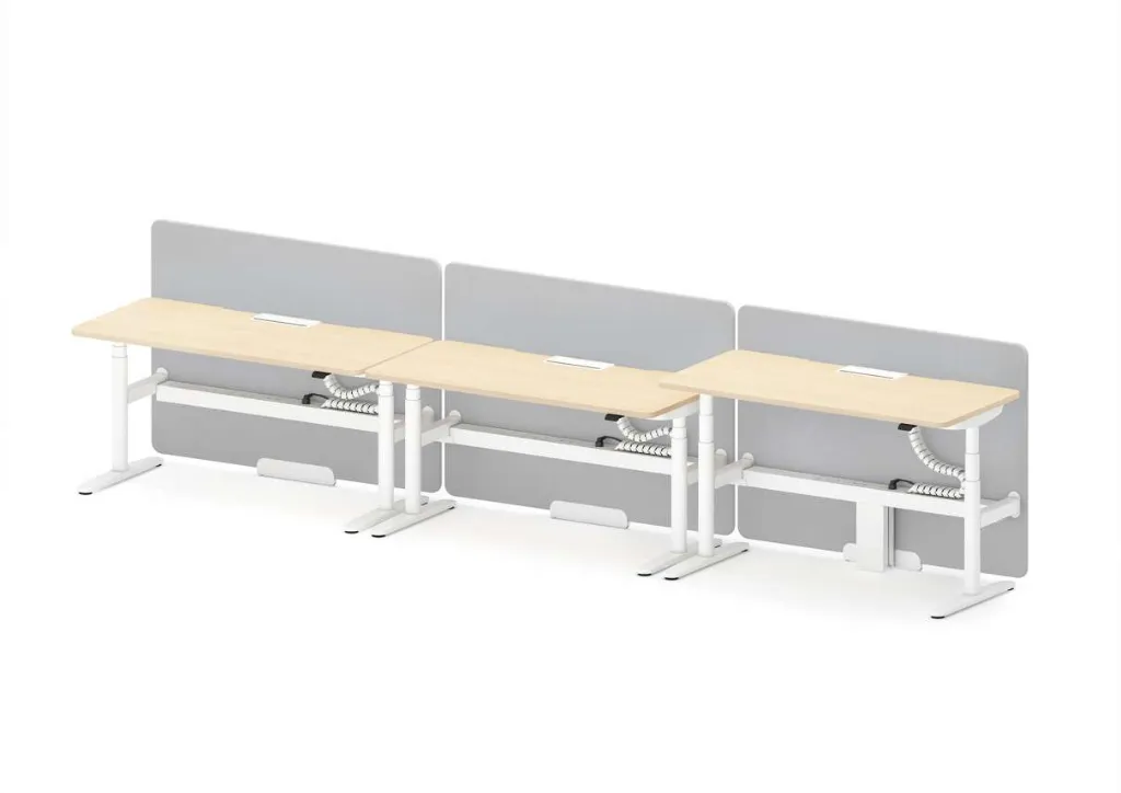 10 - Avail Go Height-adjustable Single Bench with Floor Standing Frameless Screen_MFAS_CSE45.webp