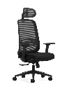 25 - Ezee Chair with Headrest_MG02_NW39.webp