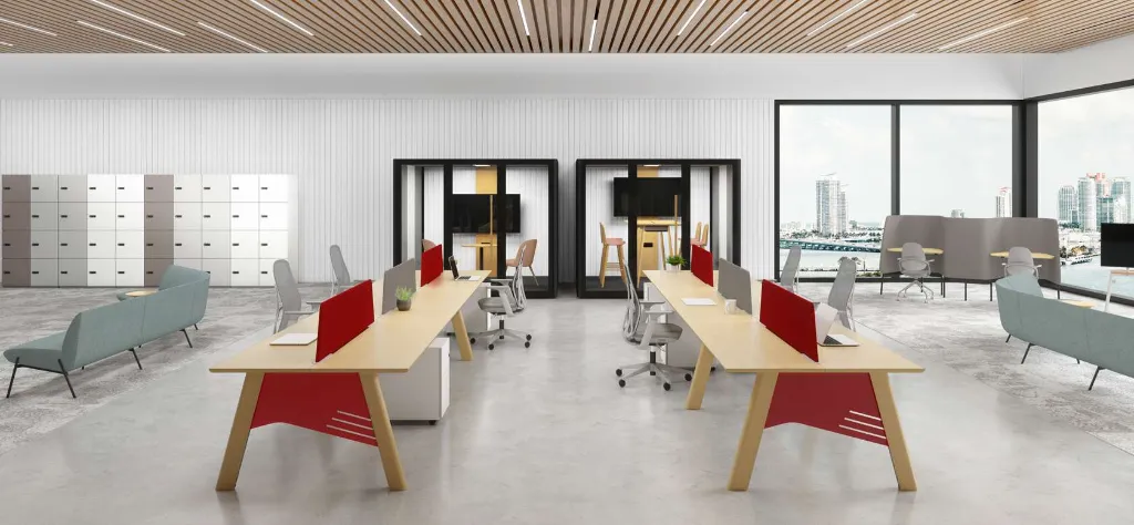 6 - Born Basic Double Bench in Activity-based Workplace.webp