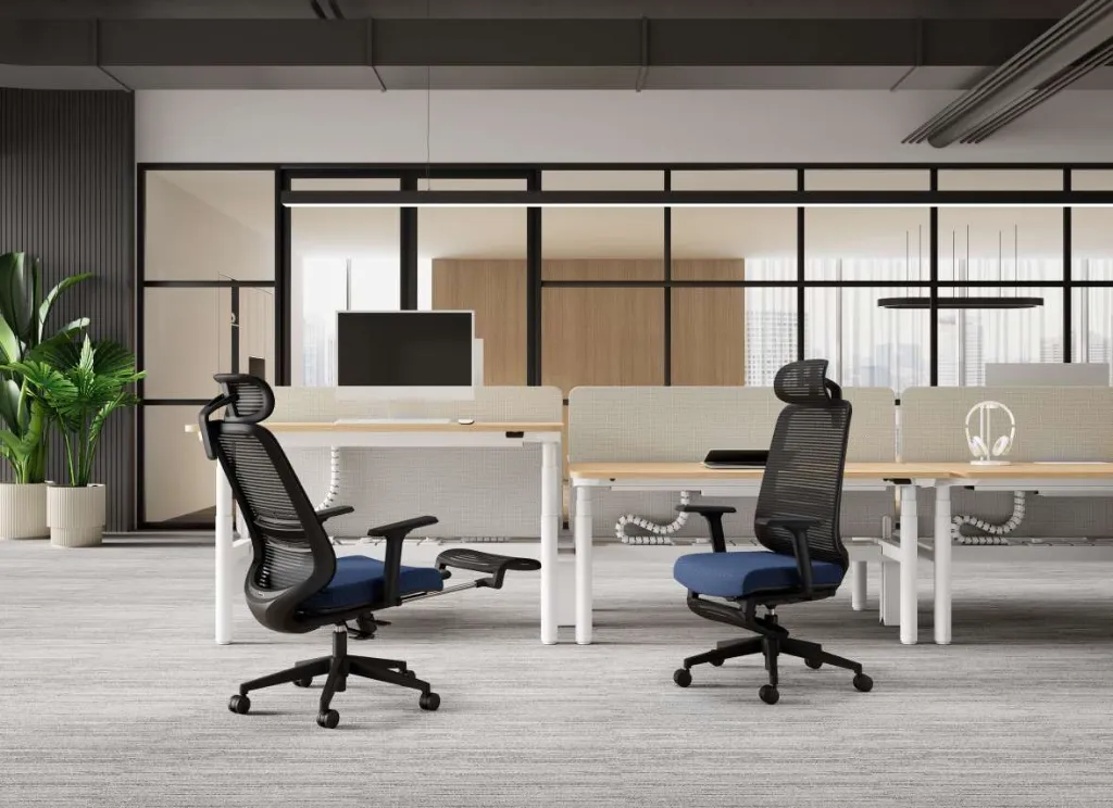 6 - Ezee Chair with Footrest and Avail GO HAD.webp