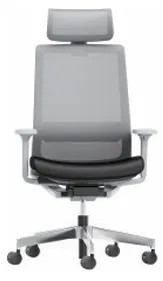 AIRFORT 2.0 High Back Chair, Gray frame, Nylon base, 1D armrest, w/Headrest, Hard caster - Gray Mesh & Black Seat